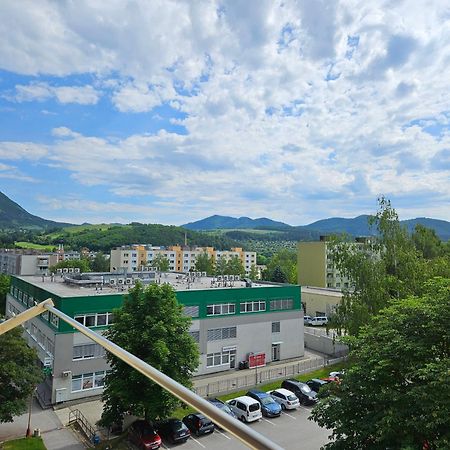 Wolf Apartman Pokojne Ubytovanie V Povazskej Bystrici Ticha Lokalita S Parkovanim Vsade Blizko Vhodne Pre Pracovne Cesty Turistiku Aj Oddych Plne Vybavena Kuchyna Považská Bystrica Eksteriør bilde